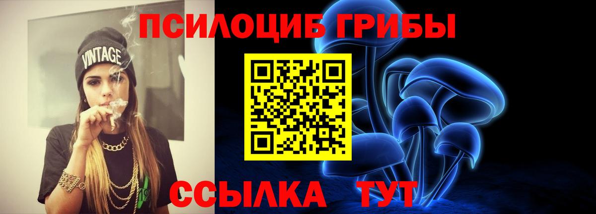 Снежинск  где можно купить наркотик  Вход с VPN  Галлюциногенные грибы Psilocybine cubensis 